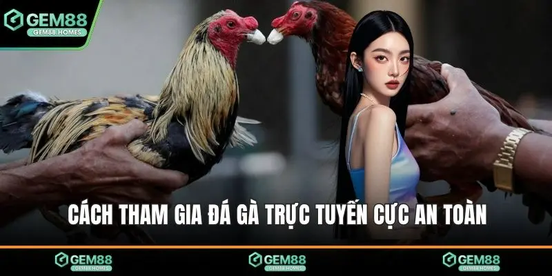 Cách tham gia đá gà trực tuyến cực an toàn