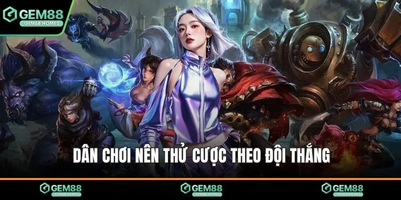 Dân chơi nên thử cược theo đội thắng