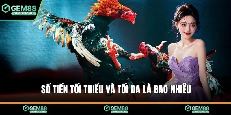 Số tiền tối thiểu và tối đa là bao nhiêu