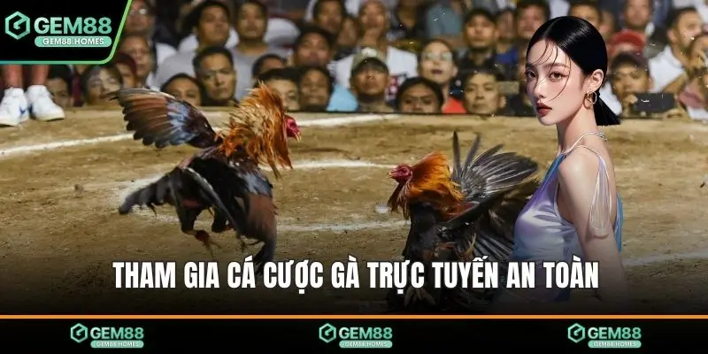 Tham gia cá cược gà trực tuyến an toàn